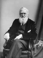 Alfred Russel Wallace im Alter von 72 Jahren